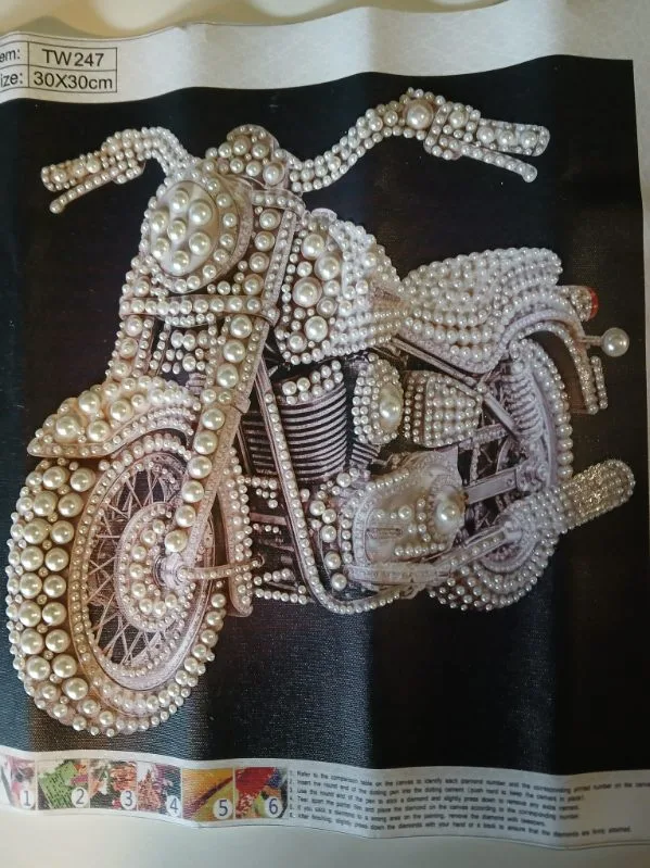 Pearl motorcycle diamond art by Liz